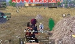 吃鸡最新爆料青龙,揭秘吃鸡新版本神秘角色